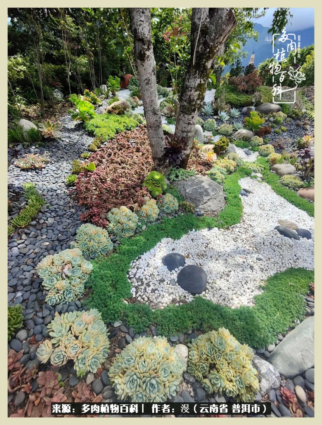 深情不及久伴,厚爱无需多言,择一“爱”,护一生