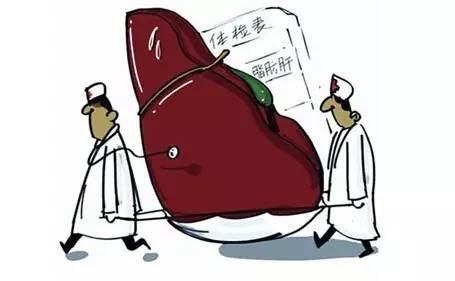 b超查出有脂肪肝怎么办,b超看出有脂肪肝但是肝功能正常