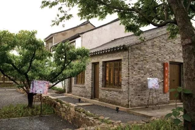 田园东方的成功之处,田园综合体的未来