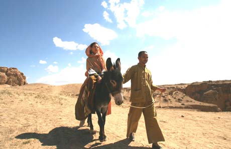 法证先锋4片段解说29,法证先锋4一口气解说合集