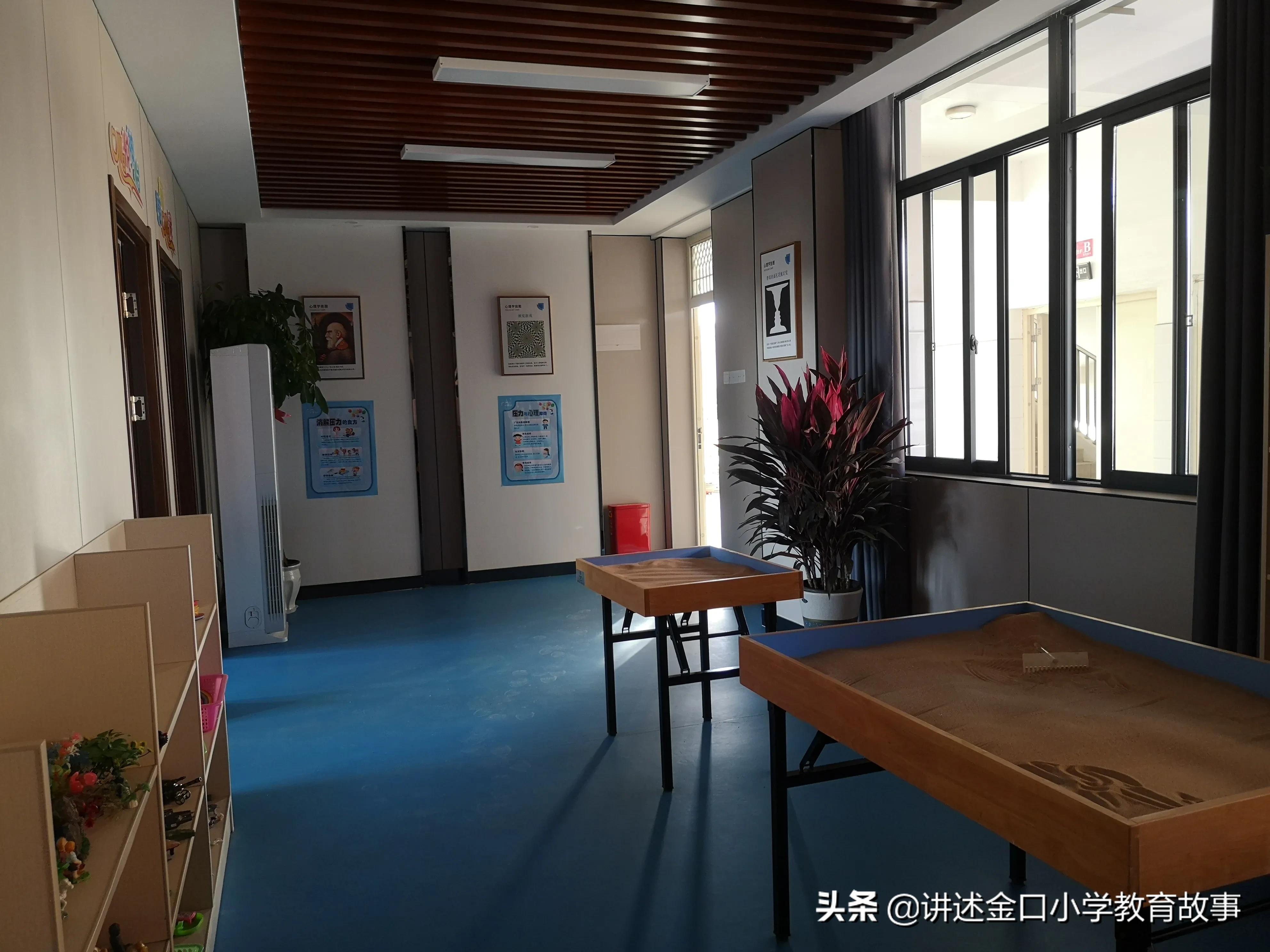 心理健康教育示范校评估自评报告,心理健康示范校验收标准