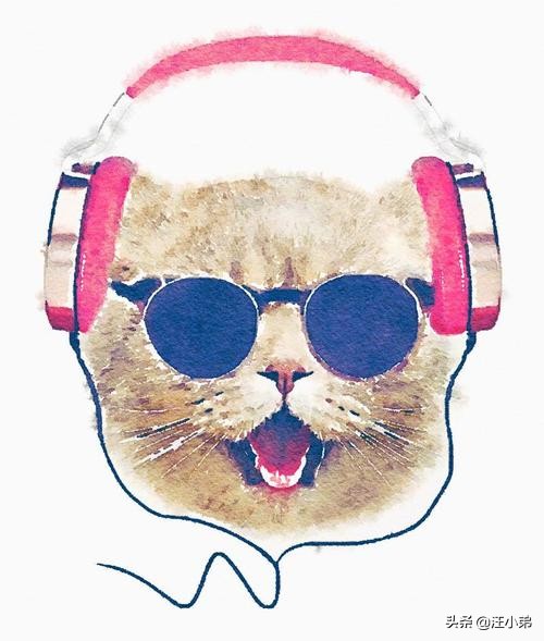 动物音乐治疗,猫狗应激反应怎么治疗