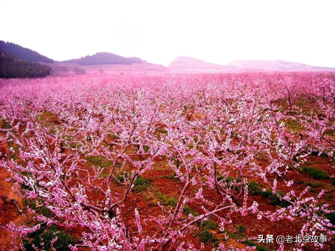 北京有16个区,不知道您眼中的那个区是什么样的呢?