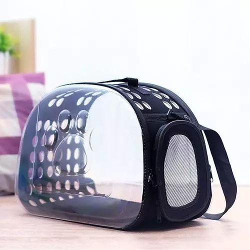 新到家猫咪需要做什么体检,猫咪到家第一夜铲屎官怎么做