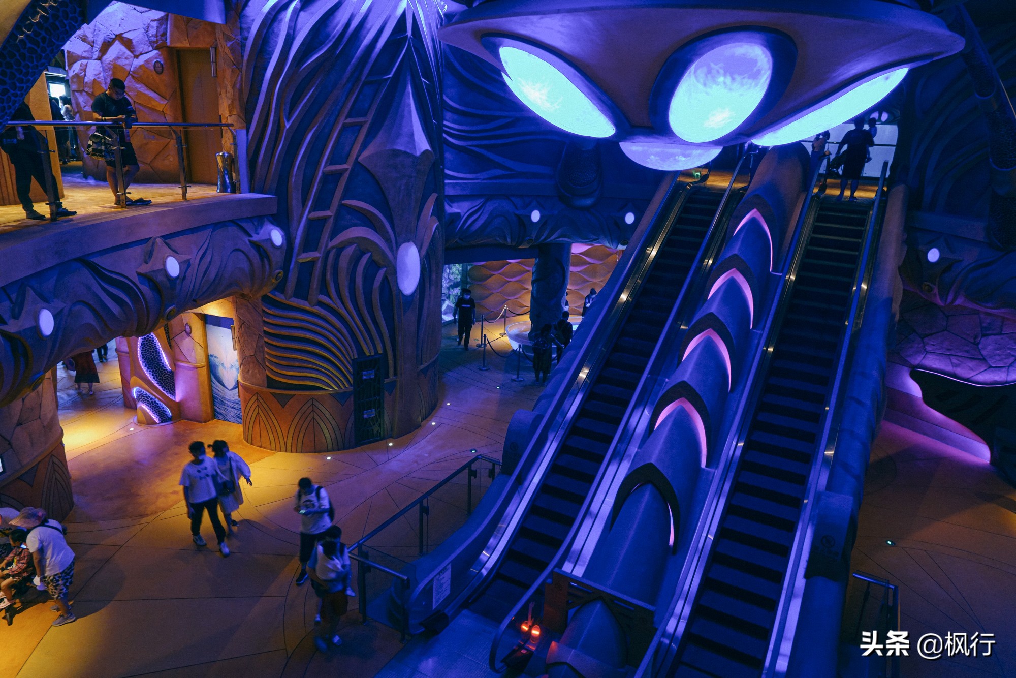 被猴子袭击，门票昂贵，拍照被轰，被我全程吐槽的三亚到底值不值