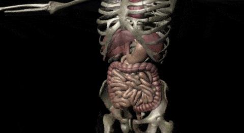 肝健康的8大表现,爆肝