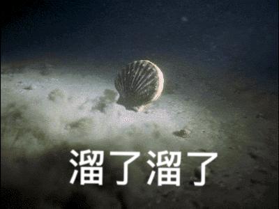 扇贝没了獐子岛,獐子岛扇贝逃跑科普