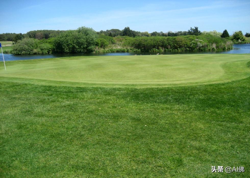 美国圆石滩高尔夫球场,美国高尔夫球场数量