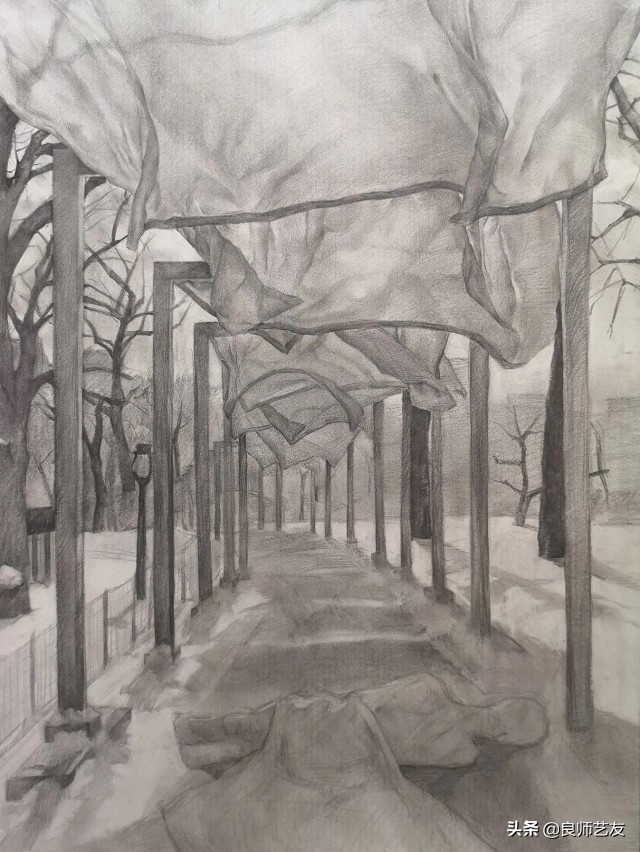 中央美术学院素描基础视频,中央美术学院素描作品最高境界