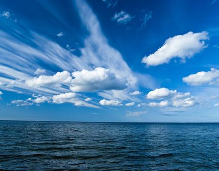 赵友辉散文：寻找一片栖息地