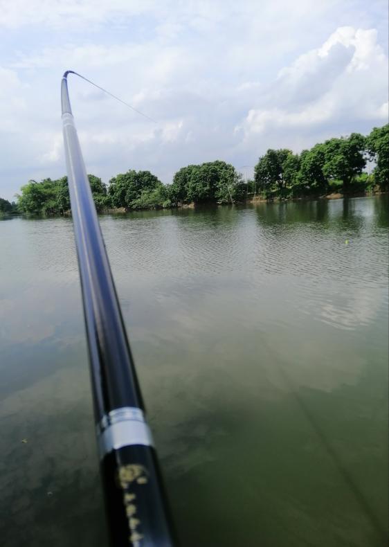 新手选鱼竿怎么选,新手怎么选鱼竿最合适