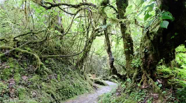 四川大渡河峡谷国家地质公园 (四川中江羚羊峡谷)
