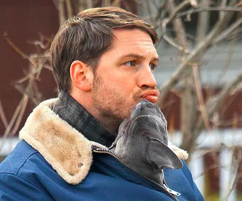 这个星期有啥好看的电影,这两天值得看的电影