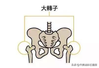 瘦腿瘦臀不翘屁股教程,虐臀圈怎么瘦腿
