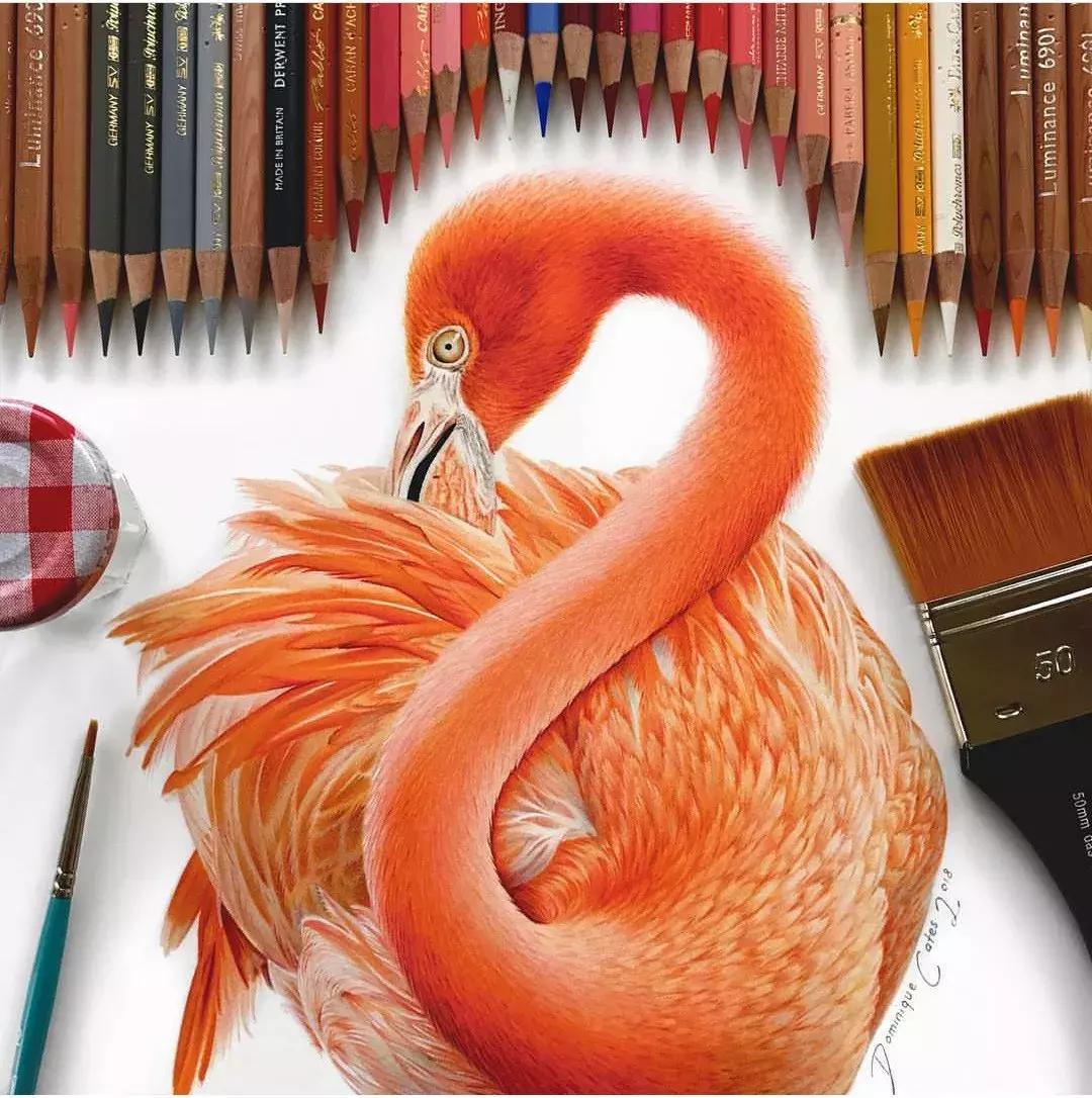 画得比实物好看,彩铅怎么样能画好看