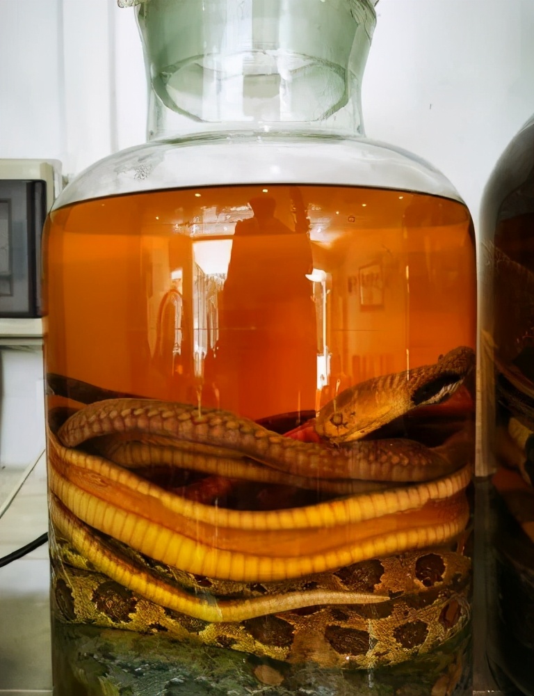 过年给长辈买什么礼物比较好,过年给老人买什么保健品合适