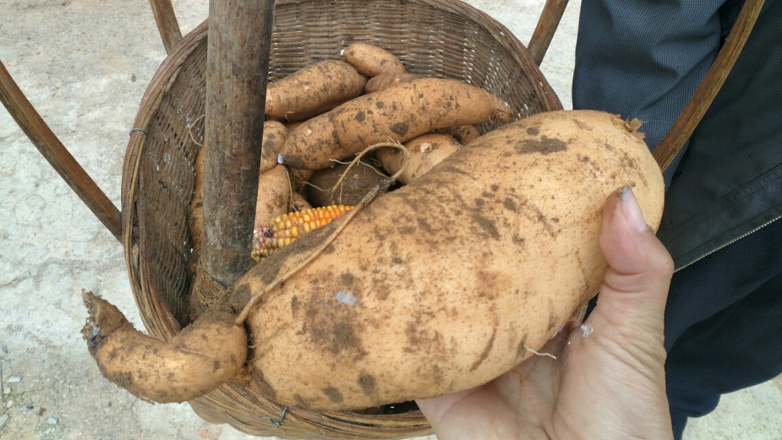 收费100一天的水库,离昆明市区最近的收费钓鱼水库