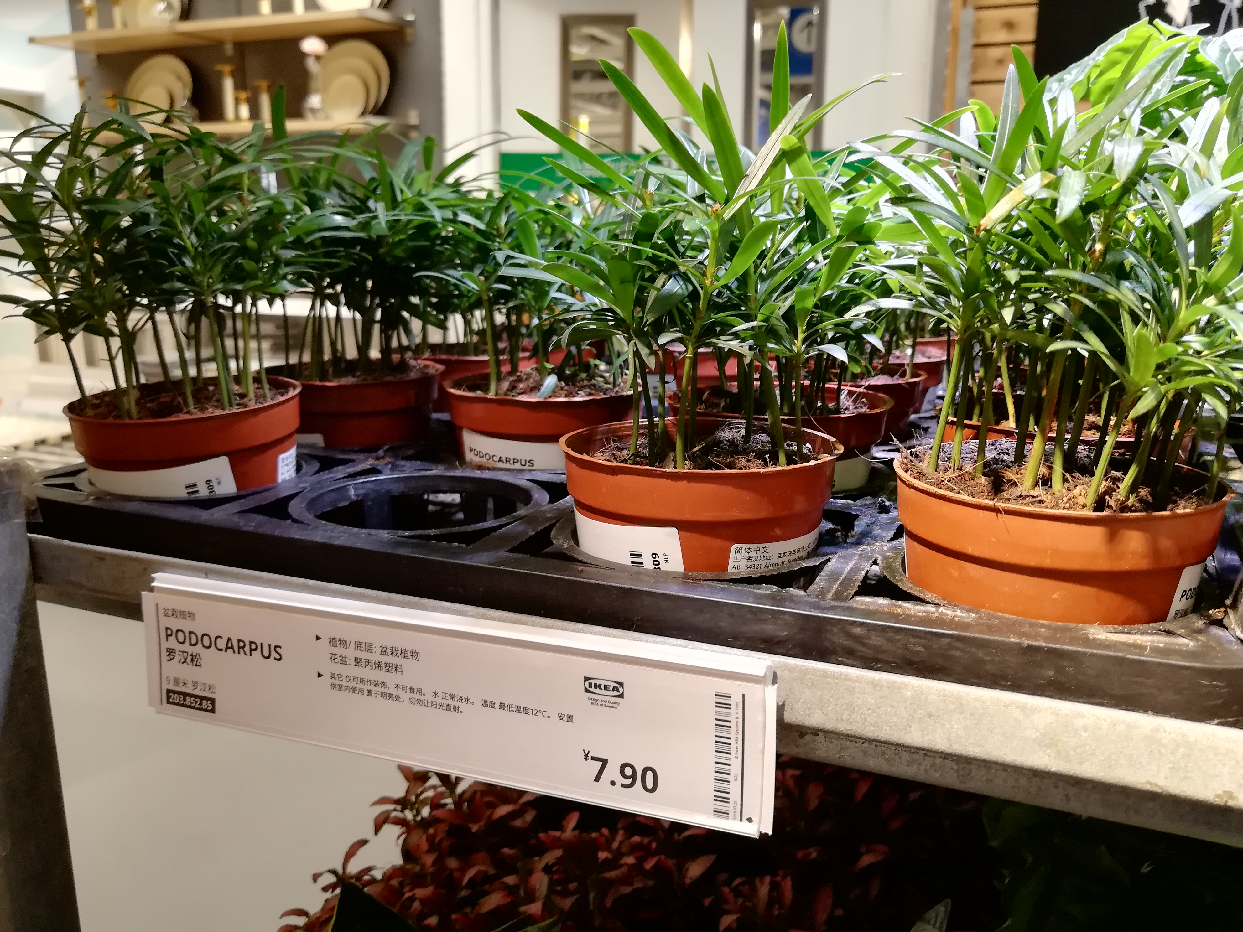 宜家必买50件家居好物,宜家家居省钱好物