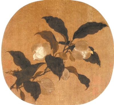 棉花种植历史,棉花栽培历史