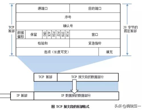 电脑网络基础知识指哪些,计算机网络基础在哪学