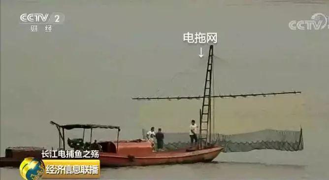 刑法规定的禁止使用捕鱼方法,非法捕鱼为什么屡禁不止