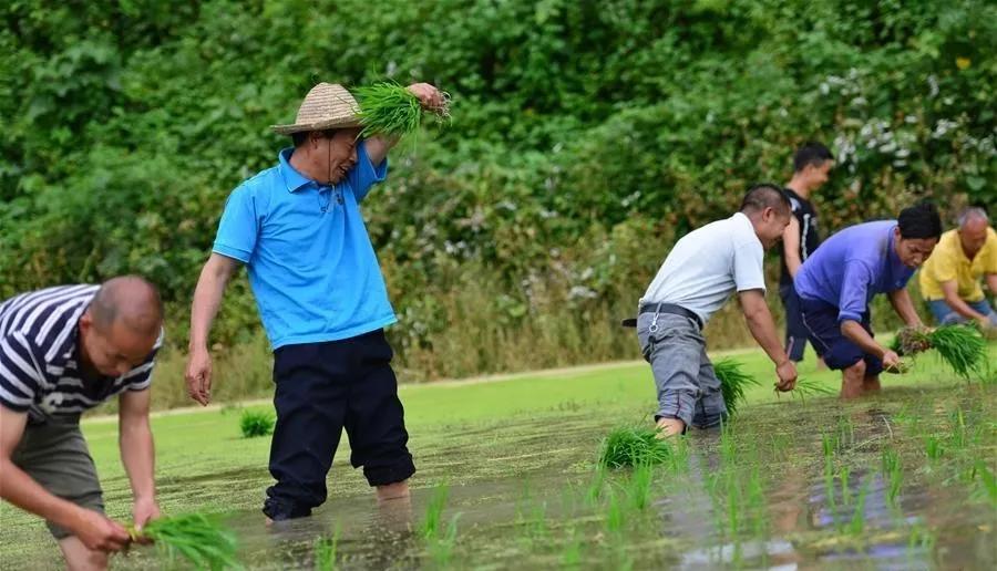 干部下沉,干部下沉一线