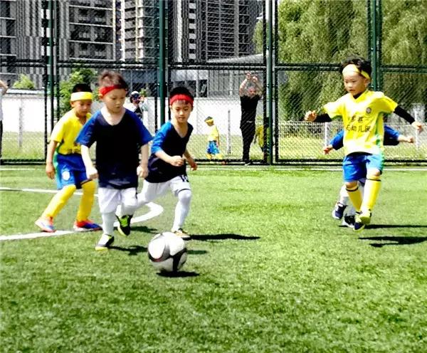 飞扬足球,飞扬足球预测