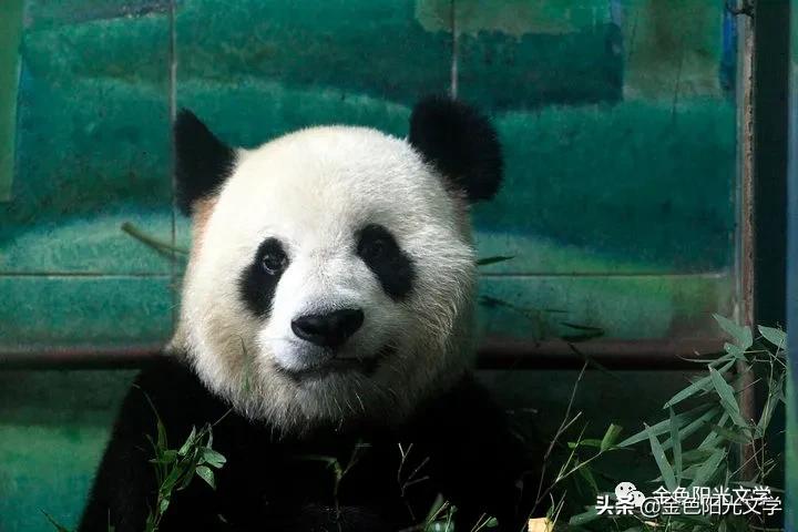 激烈的辩论赛作文600字,激烈的辩论赛