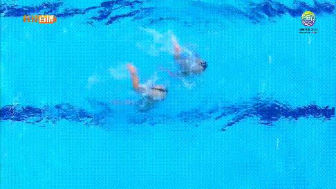 花样游泳锦标赛冠军,花样游泳世锦赛2024几块金牌