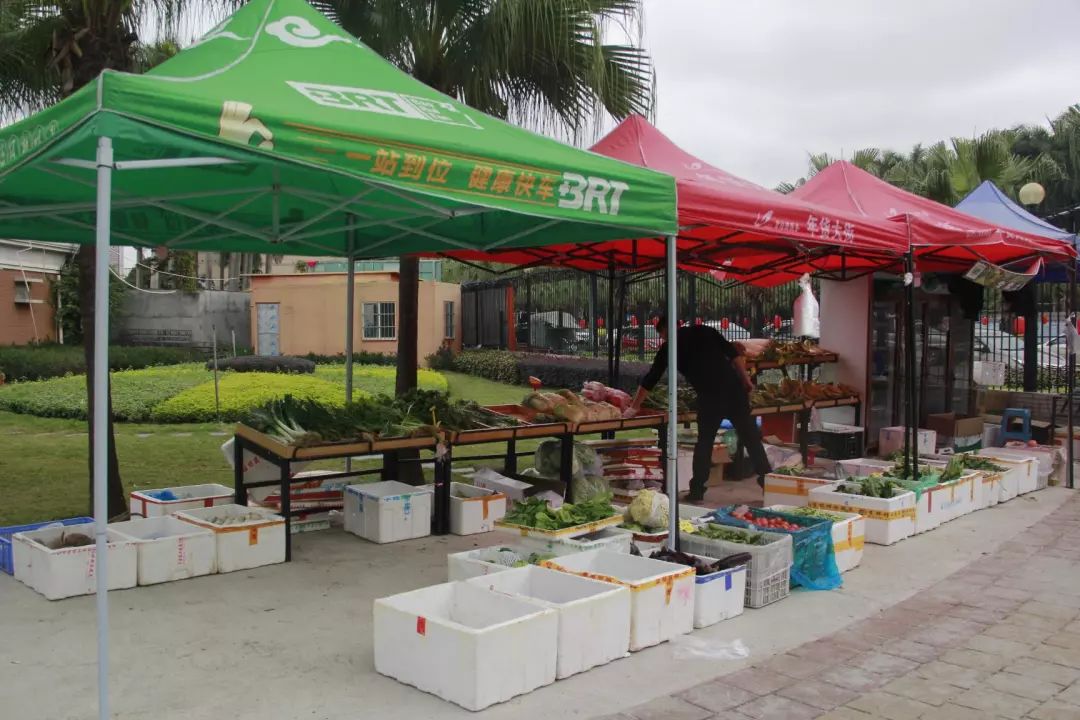 番禺|物业做“微商”卖菜,管家当“快递员”送菜,广碧这波操作获满屏点赞