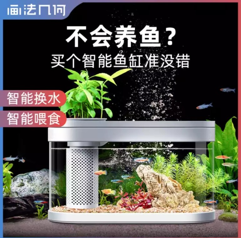 鱼缸养鱼教程图解大全,鱼缸养鱼教程入门图片