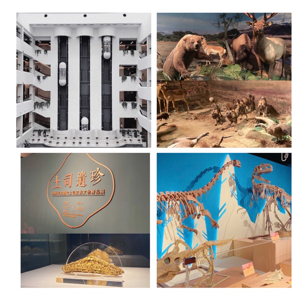 最新广东亲子游好玩的地方推荐,推荐广东亲子游好玩的地方