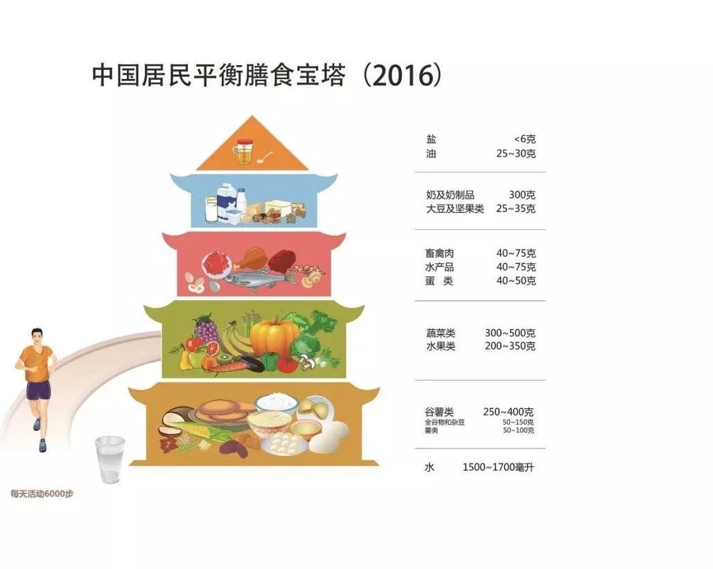 碳水化合物知识讲解,碳水化合物的十大知识