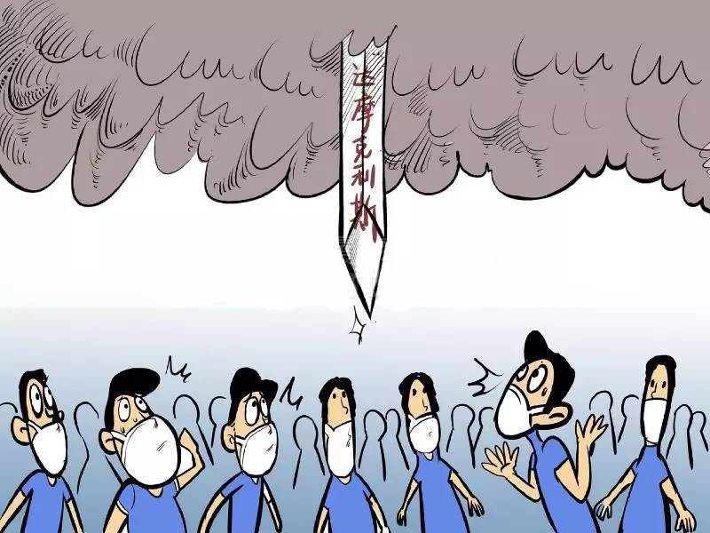 股价创历史新低发布业绩预告亏损,股票发布年报利润高股票却跌了