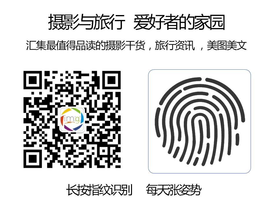 手把手教你拍摄微距花,春天拍花卉微距摄影镜头推荐