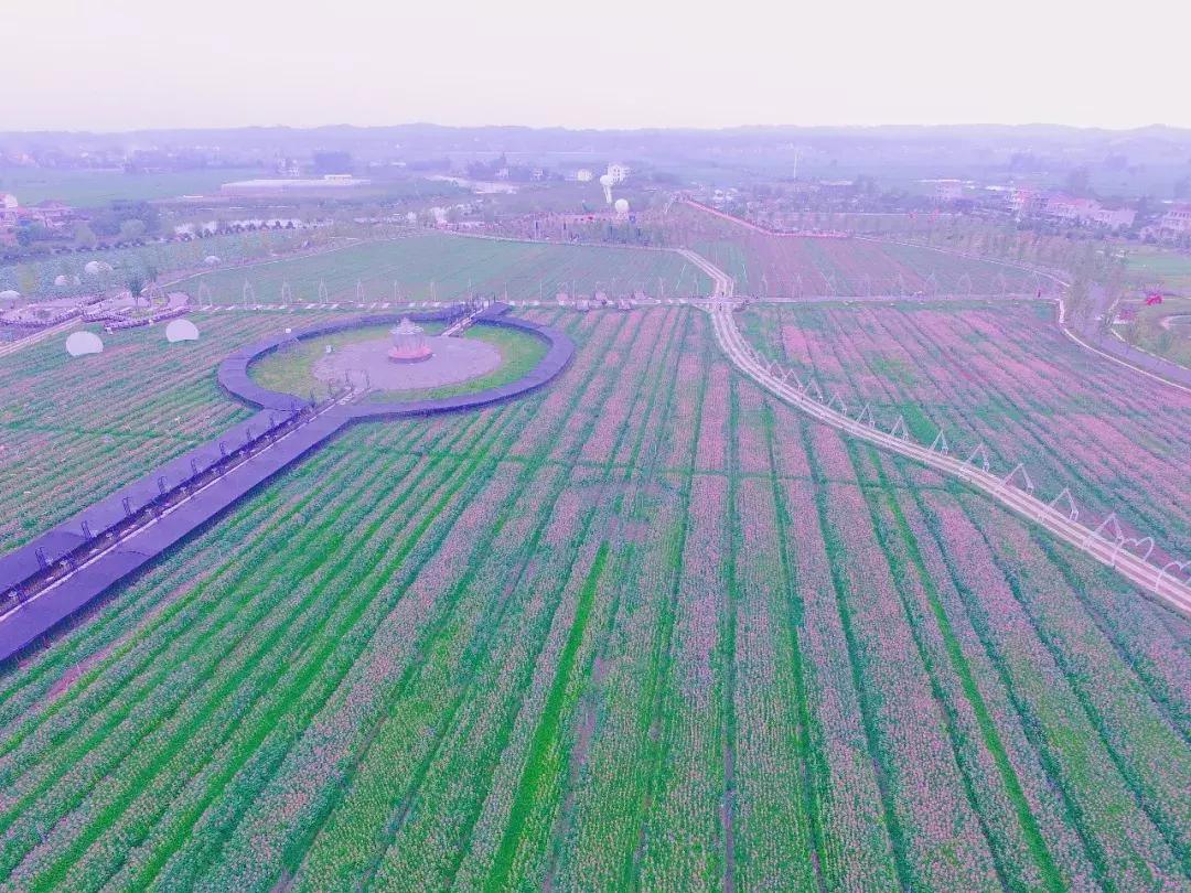 中秋去哪里？常德这些地方在等你