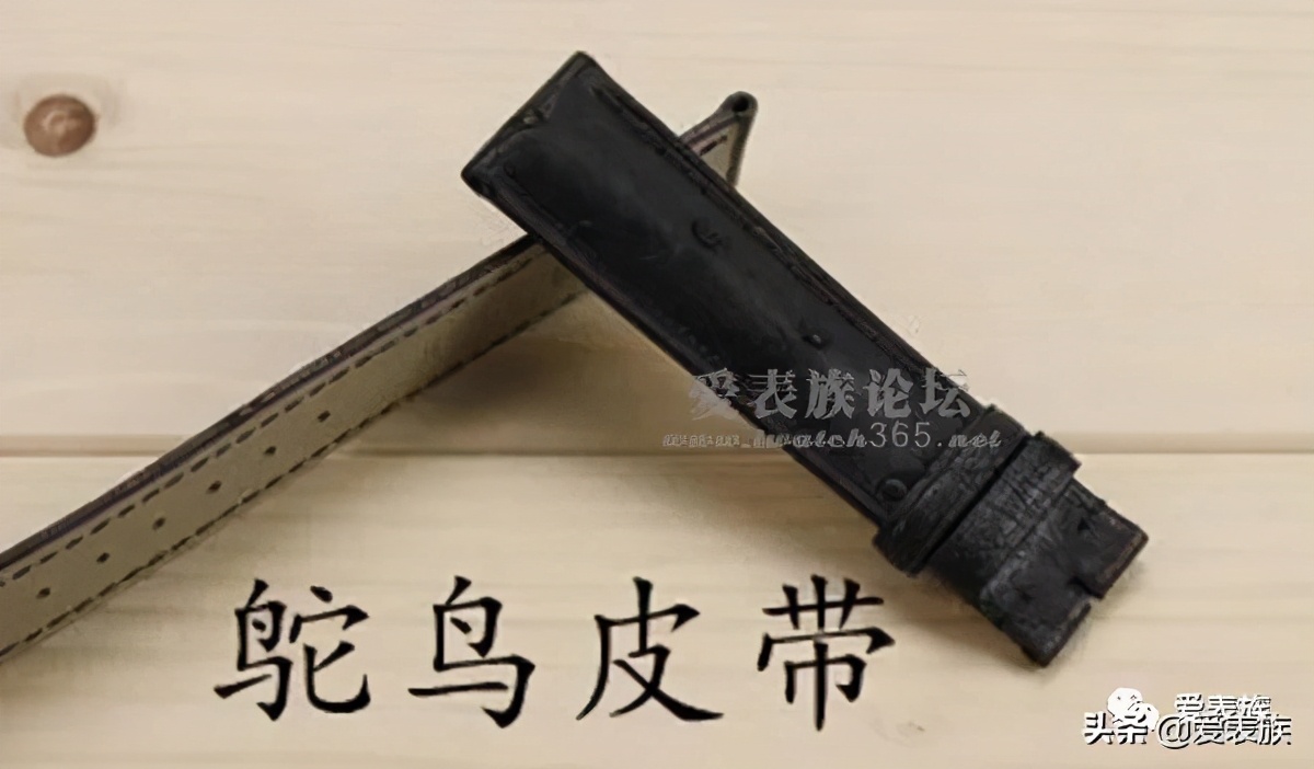 皮带皮料知识大全,皮表带跟钢表带如何选择