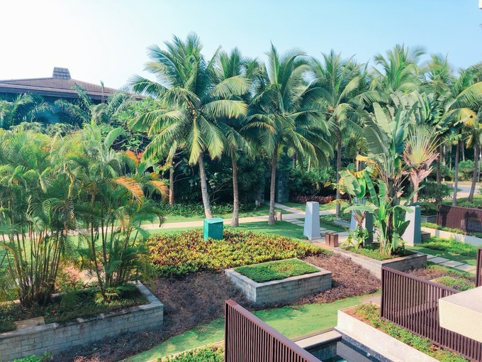 冲浪旅游地,海南万宁必去打卡