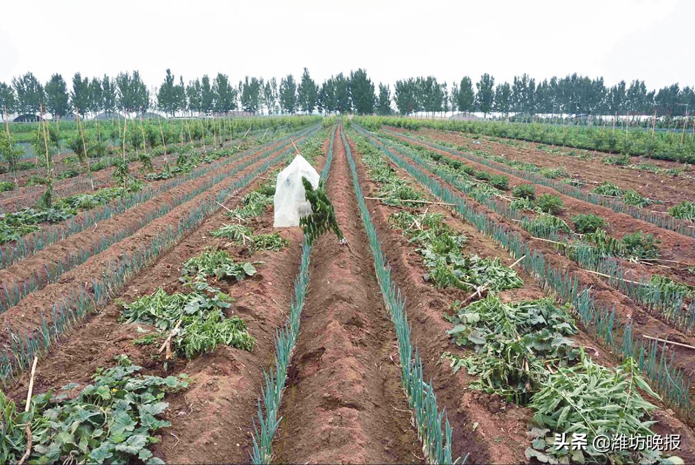 酒后冲动的恶果,酒后冲动伤害他人