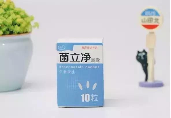 猫癣传染给人的症状,猫身上有猫癣怎么办