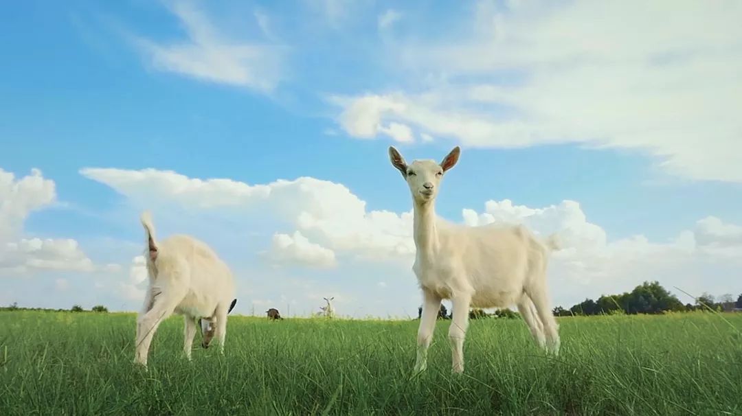 90后父母是如何带孩子的,90后父母带娃方式