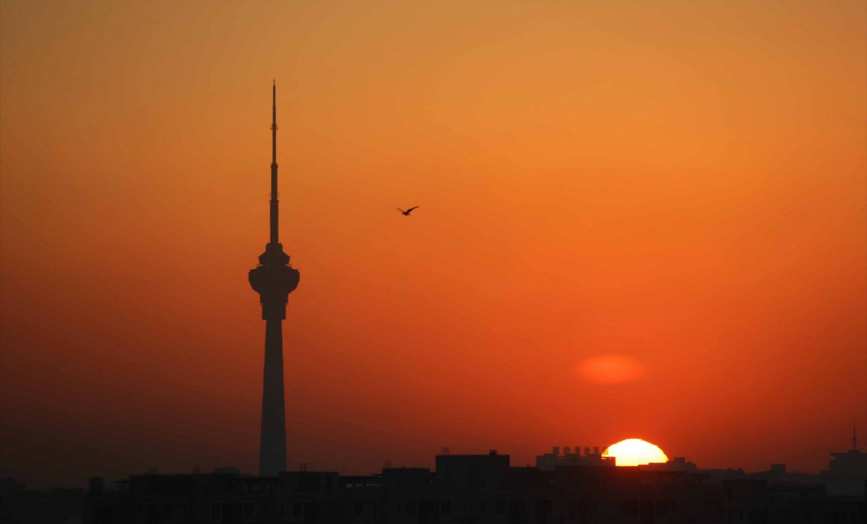 老年人胆囊炎怎么治疗效果最好,老年胆囊炎的症状及治疗