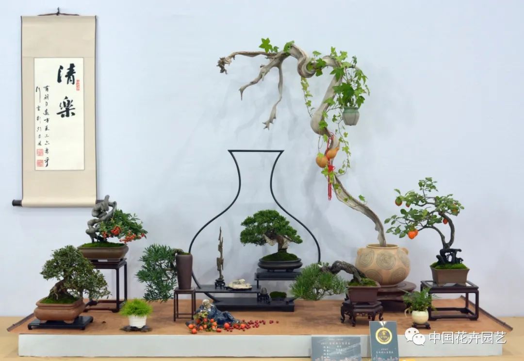 2021第三届中国盆景展,盆景展览会精品展