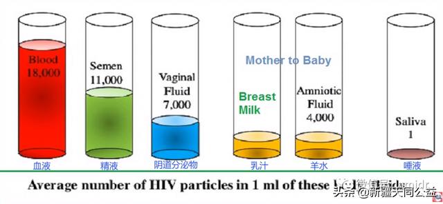 女方hpv感染阳性配偶怎么治疗,配偶患hiv可以起诉离婚吗