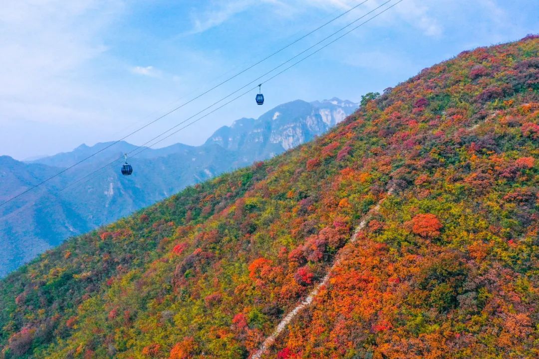 云台山的冬景有多震撼,云台山到底有多美