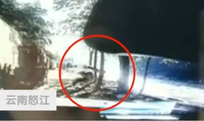 事业单位回避制度的最新规定,事业单位管理规定