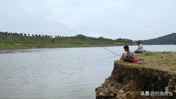 黑坑放鱼高锰酸钾消毒用量,黑坑高锰酸钾消毒后用饵思路