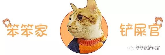 猫咪洗澡后精神萎靡不振,给猫咪洗澡后猫咪精神很差