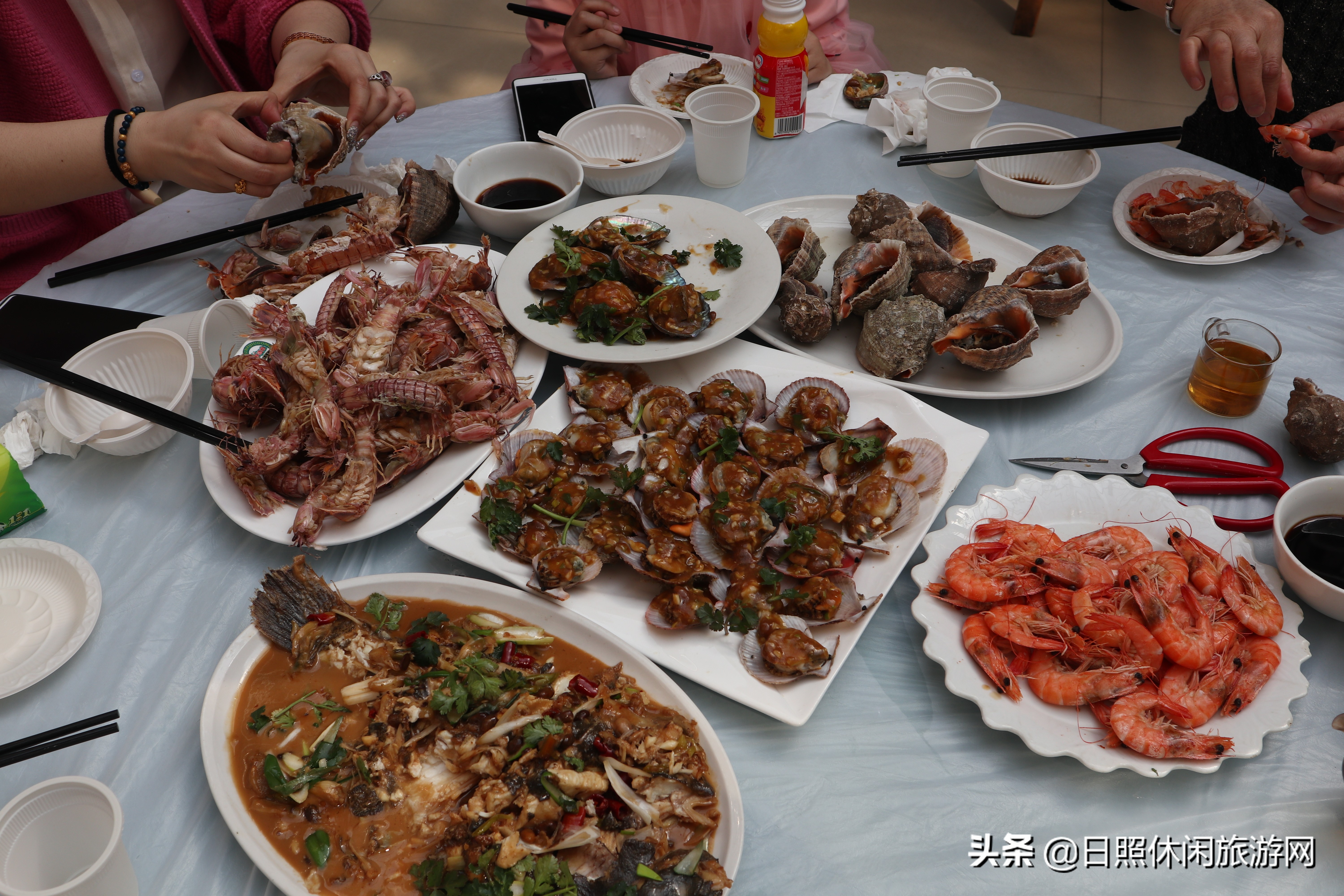 日照住渔家乐好吗,日照海边民宿攻略和费用