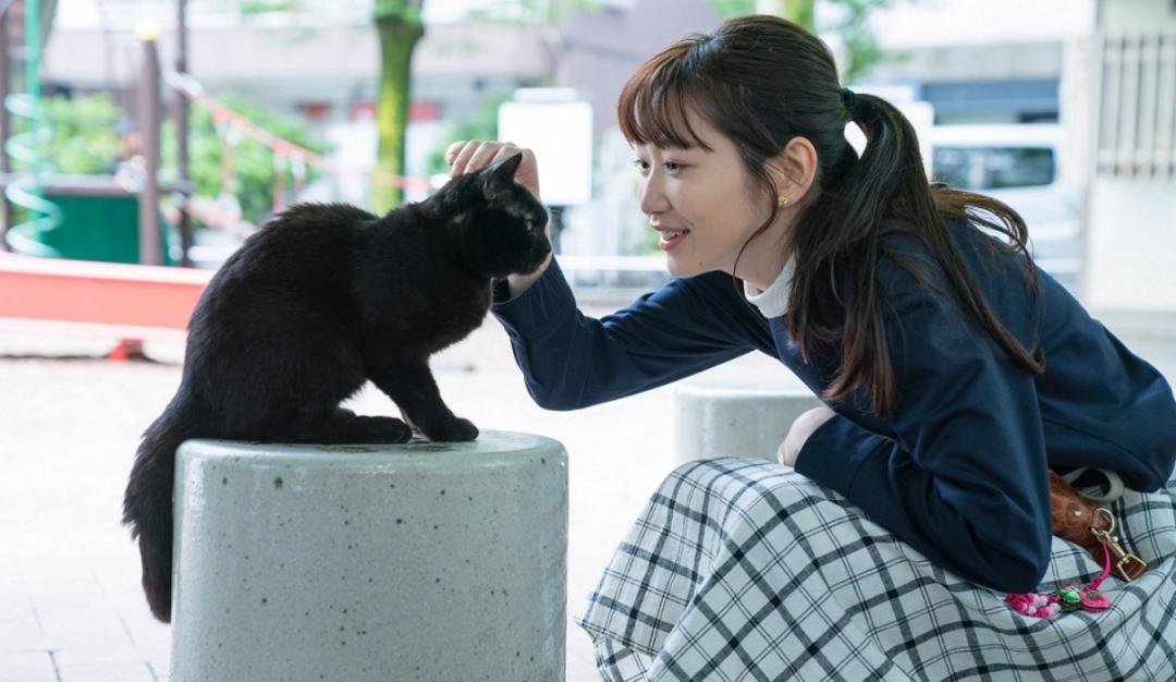 石原里美、堺雅人新剧即将开播,2020年7月夏季档日剧全攻略